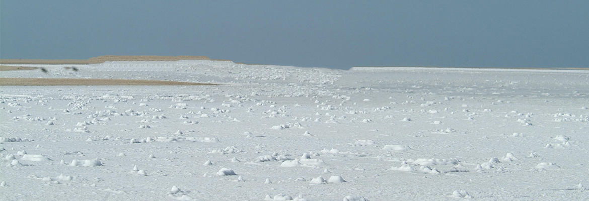 sabkha-in-qatar